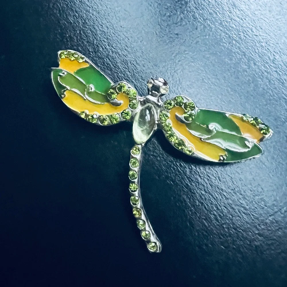 N/A dragonfly brooch